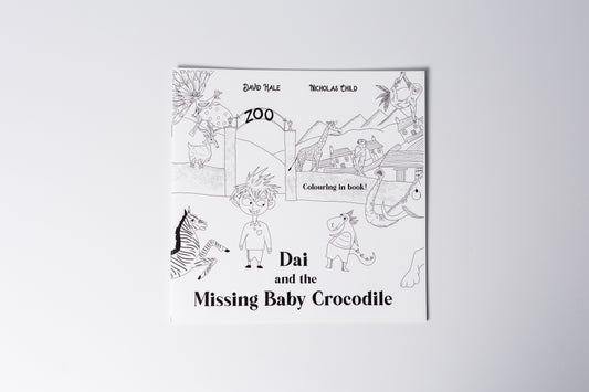 Dai and the Missing Baby Crocodile colouring book