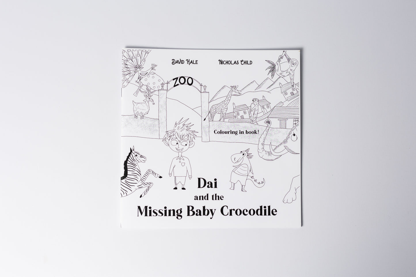 Dai and the Missing Baby Crocodile Book & Colouring Book / Dai and the Arrival of Diego from Patagonia Book & Colouring Book