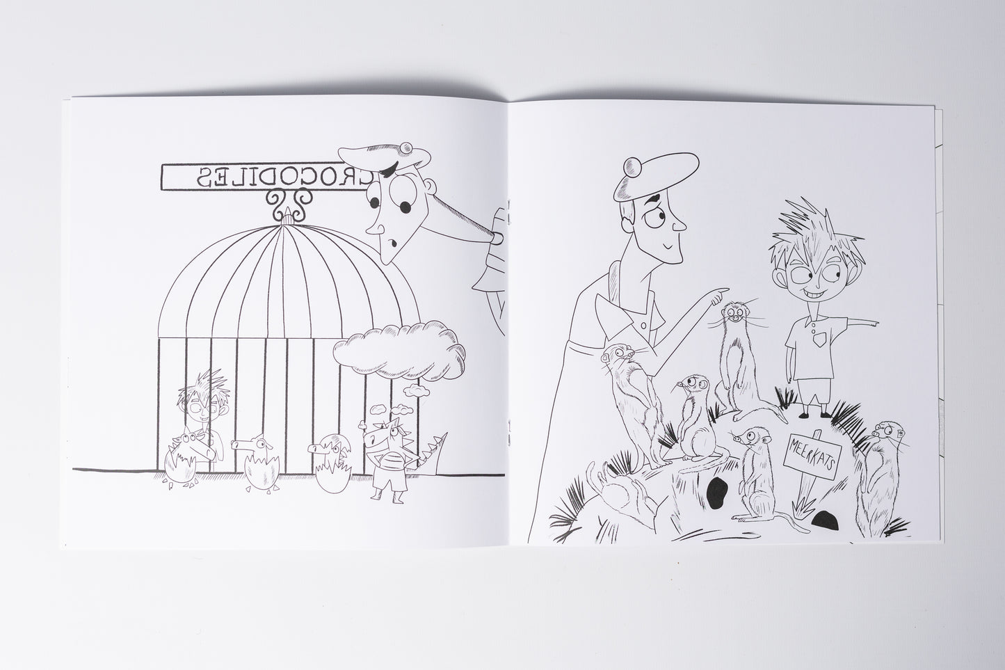 Dai and the Missing Baby Crocodile colouring book
