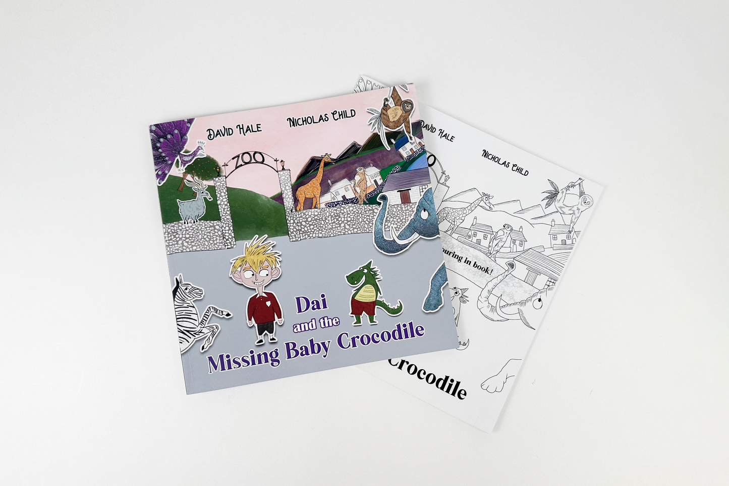 Dai and the Missing Baby Crocodile & Colouring Book